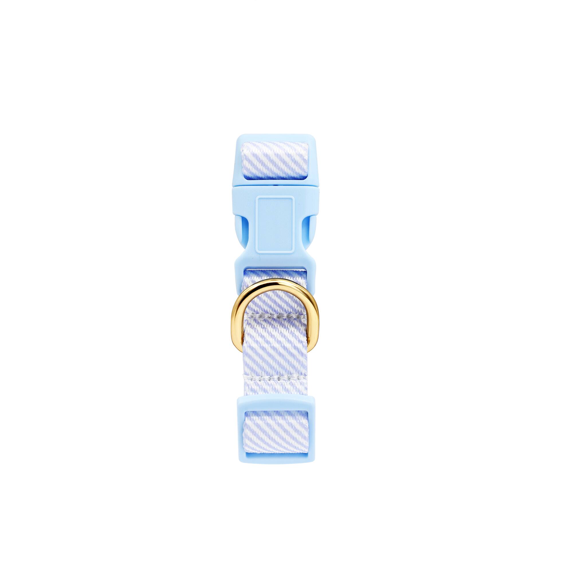 Blue & White Striped Dog Collar by Fab Finds
